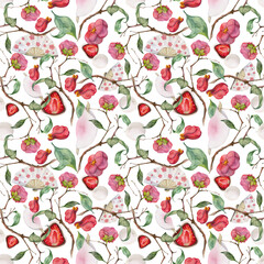 Watercolor seamless pattern with hand drawn traditional Japanese sweets. Wagashi, mochi, camellia flowers. Isolated on white background. Invitations, restaurant menu, greeting cards, print, textile