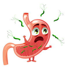 Scared cartoon stomach character among helicobacter pylori bacteria
