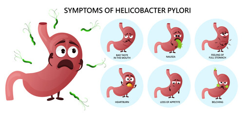 Helicobacter pylori infection symptoms infographic with cartoon stomach characters