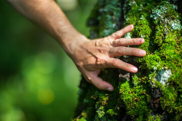 A man's hand touch the tree trunk close-up. Bark wood.Caring for the environment. The ecology concept of saving the world and love nature by human