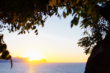 Picturesque view of sunset shot under green leaves of tree in summer. Calm sea, cloudless sky illuminated by sun rays.