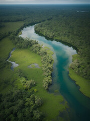 A majestic aerial view of a pristineBreathtaking aerial views of pristine wetlands and rainforest, Amazing natural beauty, Mobile and Taplet wallpaper. 