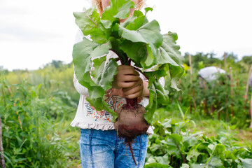 Healthy lifestyle concept: Happy child with garden-fresh beets in hand