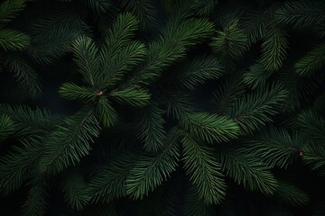 Christmas fir tree branches banner background Generative AI