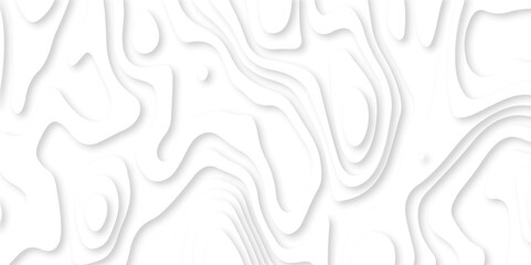 Abstract white paper cut background with lines. Background of the topographic map. White wave paper curved reliefs abstract background. Realistic papercut decoration textured with wavy layers.