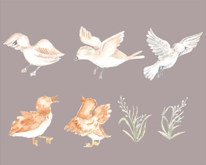 Flying Bird and Baby Goose Watercolor