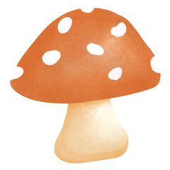 fly mushroom
