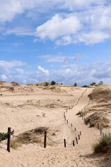 Tourist trail through the dunes near Czolpino village, Poland
