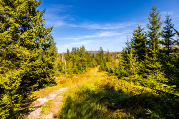 Fototapeta na wymiar Spätsommerwanderung durch den Nationalpark Harz rund um den Oderteich b. Torfhaus - Niedersachsen - Deutschland
