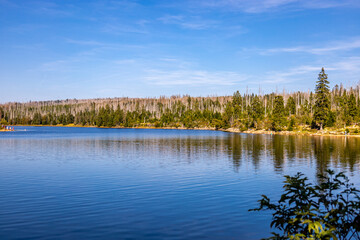 Spätsommerwanderung durch den Nationalpark Harz rund um den Oderteich b. Torfhaus - Niedersachsen - Deutschland
