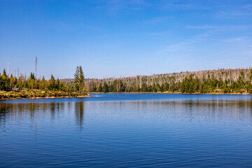 Spätsommerwanderung durch den Nationalpark Harz rund um den Oderteich b. Torfhaus - Niedersachsen - Deutschland