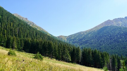 panorama of the mountains, Tatrzański Park Narodowy Zakopane, mountains view góry panorama Tatr  - obrazy, fototapety, plakaty