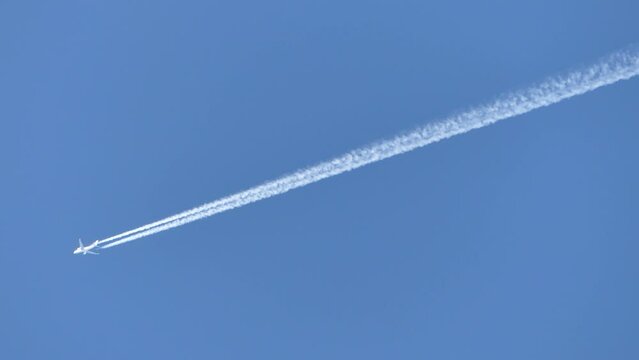 White plane in flight and streaks against blue clear sky and branches of apple tree - real time. Topics: air travel, condensation clouds, atmosphere, season