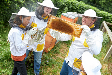Beekeeper with beehive frame training woman and girl
