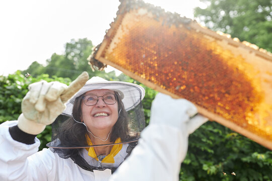 Smiling senior female apiarist pointing at honeycomb frame - Powered by Adobe