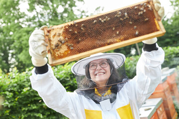 Happy senior female beekeeper analyzing beehive with honey bees