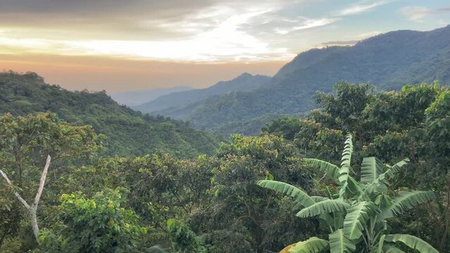 Sunset in the Colombian wild rainforest. Panning left view