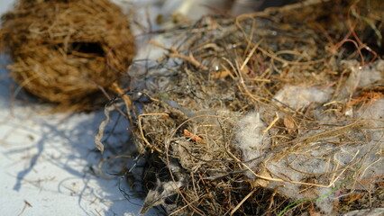 Contaminated bird nests with garbage produced from households.