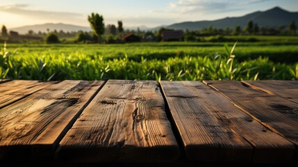 old wooden table next to green rice fields in the evening at sunset