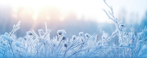 Frozen snowy grass, winter natural abstract background. beautiful winter landscape. - obrazy, fototapety, plakaty