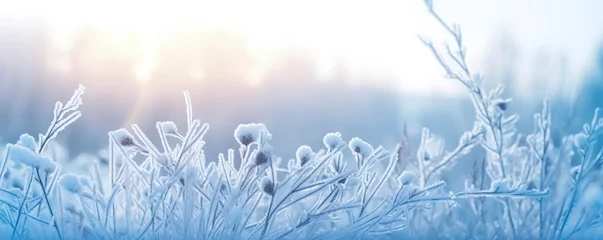 Fotobehang Frozen snowy grass, winter natural abstract background. beautiful winter landscape. © AbGoni