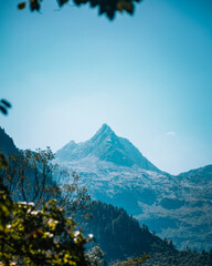 striking mountain in the far distance with tree branches and other mountains in the foreground on a blue sunny day © Finn