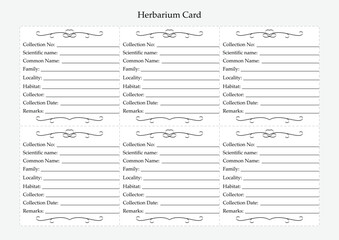 Fototapeta premium Herbarium label sheet. Plant identification template. Collection and preservation of plant materials. Vector