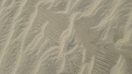 a golden sand texture with wind traces in daylight