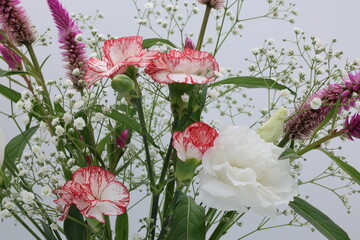 白バックの様々な色の花束