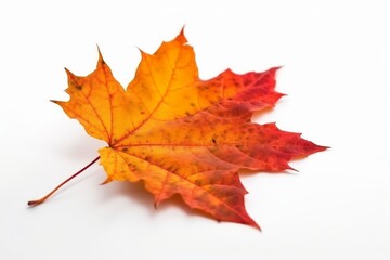 Fototapeta premium Autumn maple leaf isolated on white background. Generative AI