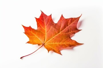 Naklejka na ściany i meble Autumn maple leaf isolated on white background. Generative AI