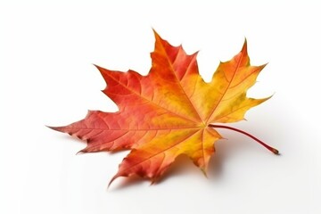 Maple leaf isolated on white background. Generative AI