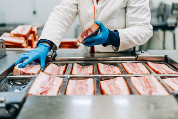 Production line for packing and vacuuming delicious pork meat bacon into small packages. Meat food...