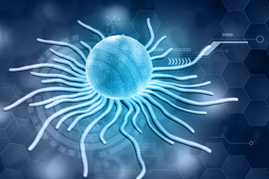 Human Cancer cells,. T-Cells, Tumor cells. 3d illustration.