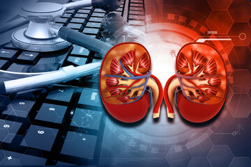 Human kidney on stethascope with keyboard work desk background. Online medicine concept. 3d illustration..
