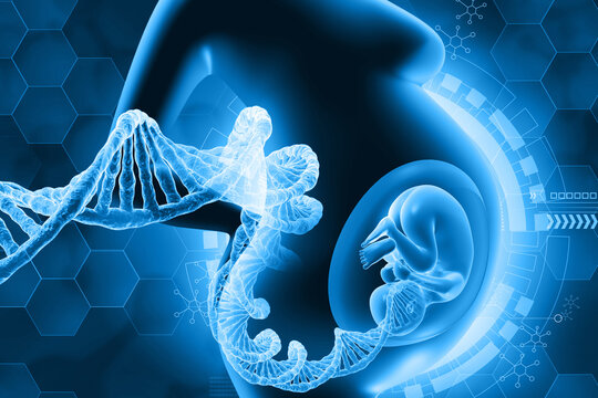 Pregnant woman with fetus and DNA. 3d illustration..
