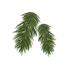 Christmas Pine Leaves