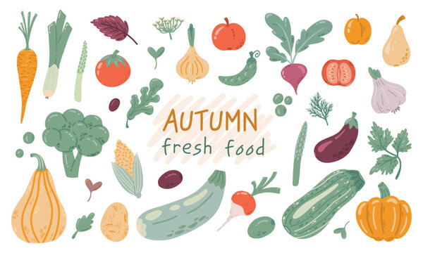 Organic healthy eating food illustrations. Vegetables and fruits hand drawn vector illustrations on white background. Organic, farm and delicious food elements. Harvest and holiday concept.