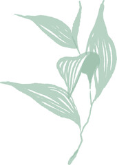 Watercolor Flowers Illustrations