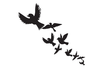 Graphic illustration silhouette flock of flying Birds.
