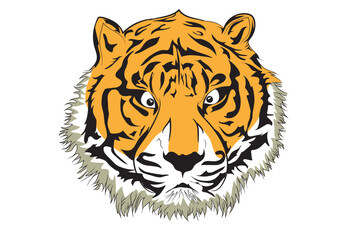 Graphic illustration of Tiger head.
