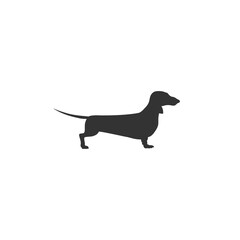 Dachshund dog icon on white background in flat. Vector illustration