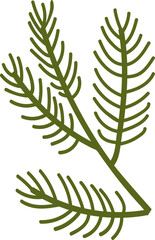 Coniferous Branch Icon