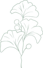 Line art watercolor flower illustration