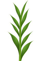 Fototapeta premium green leaves