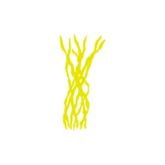 Coral. Underwater plant. Vector illustration in scandinavian style. Seaweed.