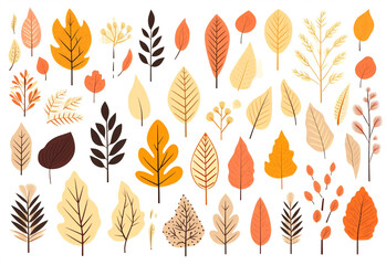 Fototapeta premium Illustration autumn design print nature graphic art plant set abstract pattern background leaf