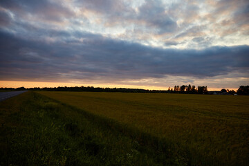 Amazing sunset in the countryside , selective focus