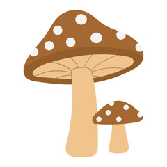 illustration of mushrooms