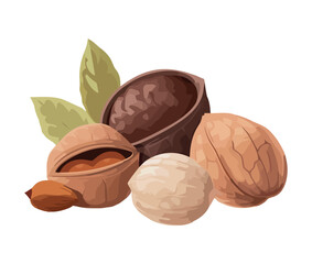 Healthy nuts organic snack icon